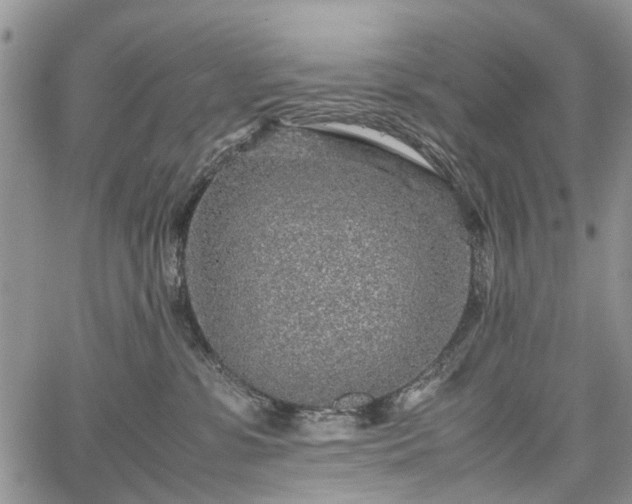 X0000067910331200604171345