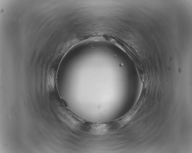 X0000067910334200604171345