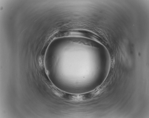 X0000067910335200604171345