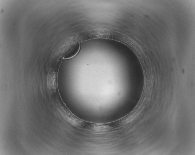 X0000067910336200604171345