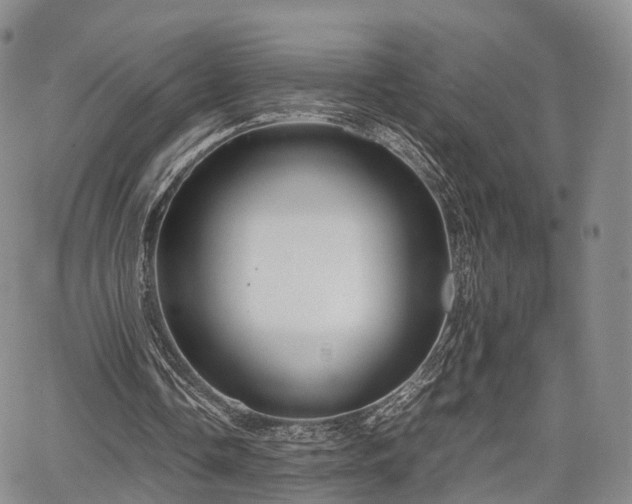 X0000067910338200604171344