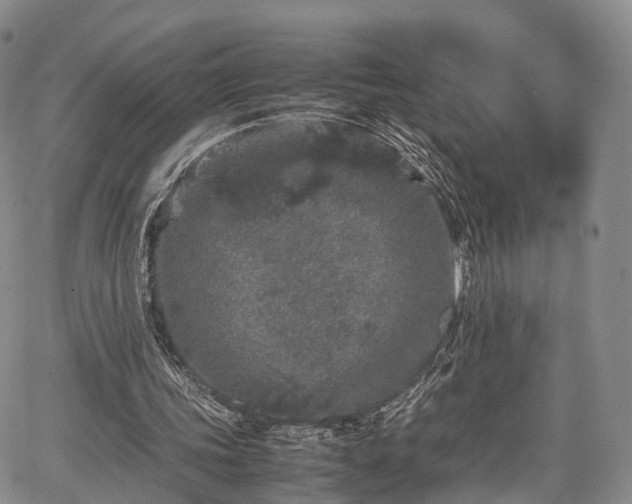 X0000067910339200604171344