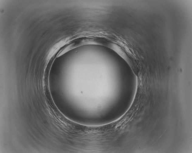 X0000067910340200604171344