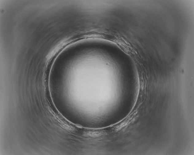 X0000067910341200604171344