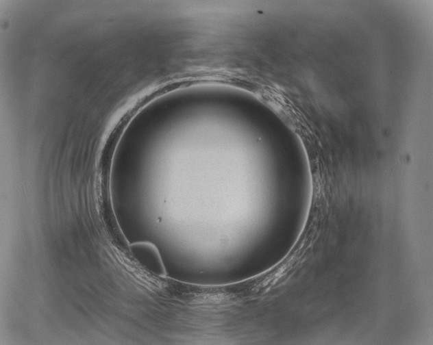 X0000067910342200604171344