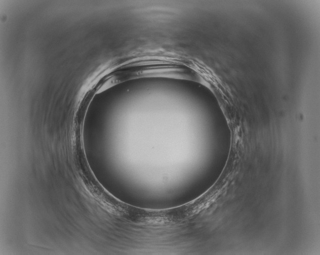 X0000067910344200604171344