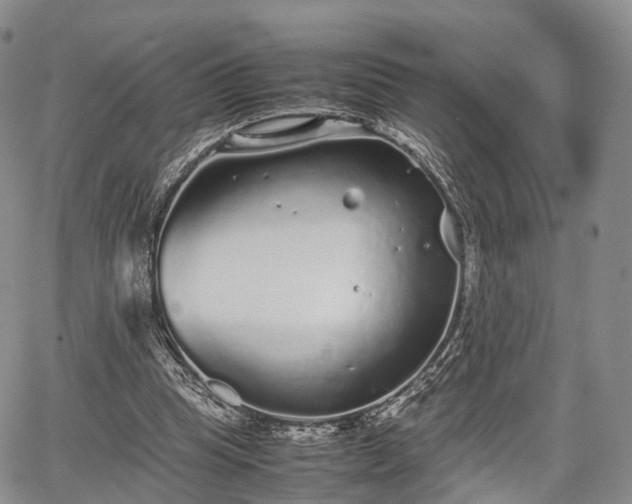 X0000067910345200604171344