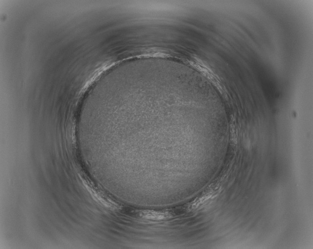 X0000067910347200604171344