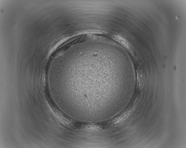 X0000067910348200604171344