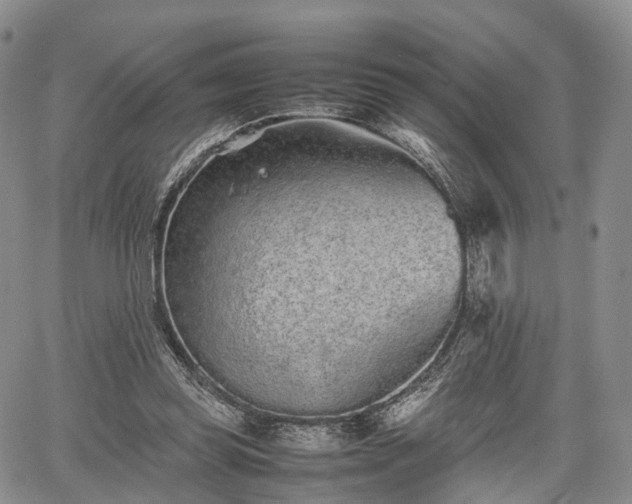 X0000067910349200604171344