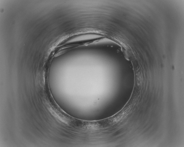 X0000067910350200604171344