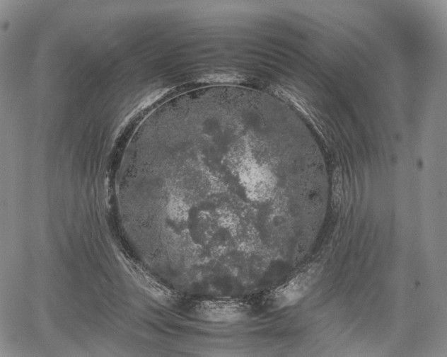 X0000067910351200604171344