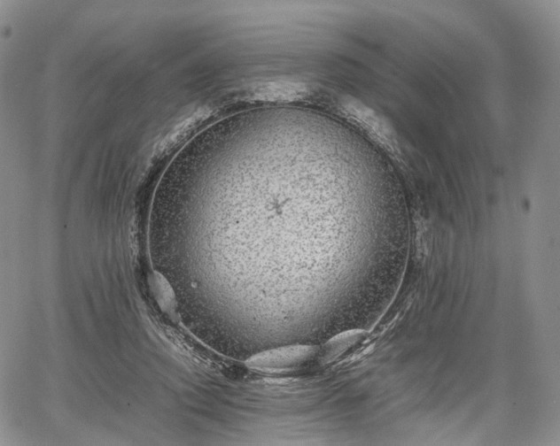 X0000067910354200604171344