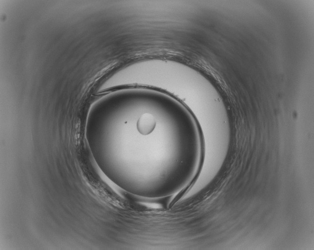 X0000067910356200604171344