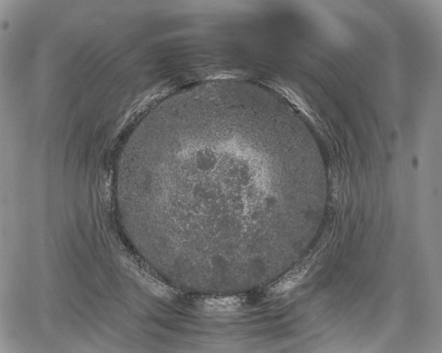 X0000067910357200604171344