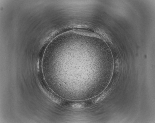 X0000067910358200604171344