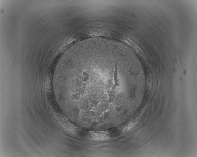 X0000067910359200604171344