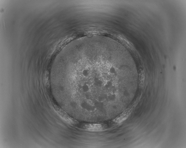 X0000067910361200604171344