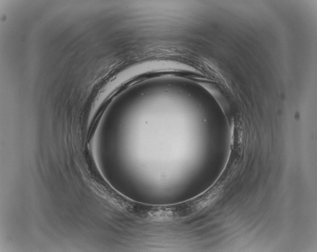 X0000067910362200604171344