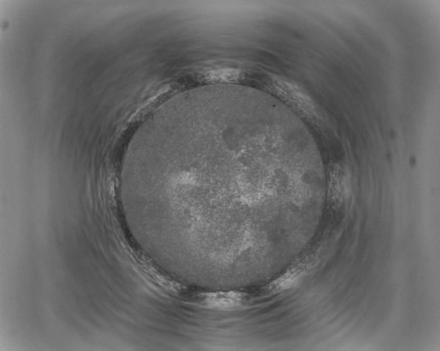 X0000067910363200604171344