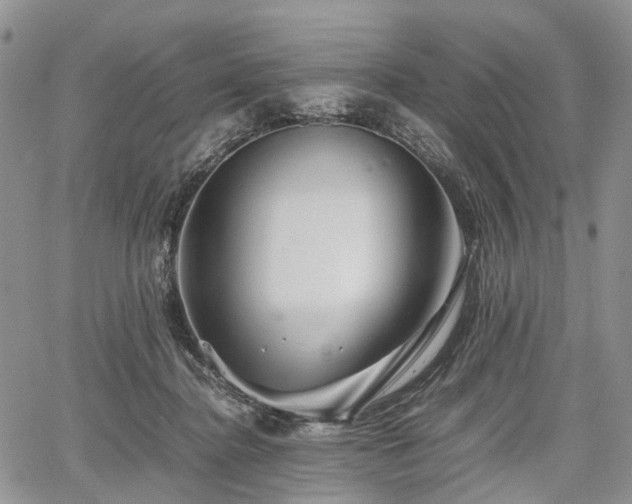 X0000067910364200604171344