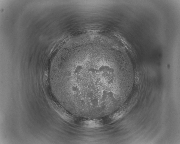 X0000067910365200604171344