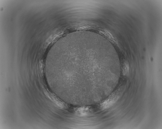 X0000067910366200604171344