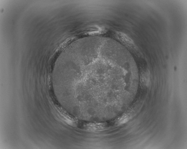 X0000067910367200604171344