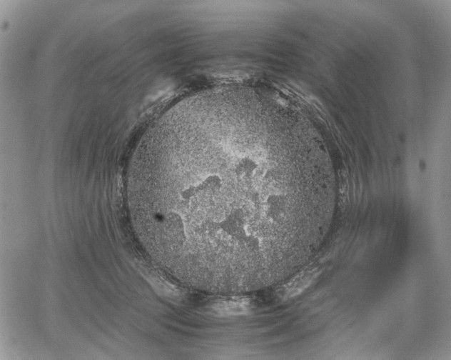 X0000067910369200604171344