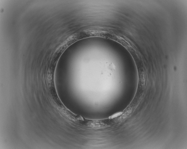 X0000067910372200604171344