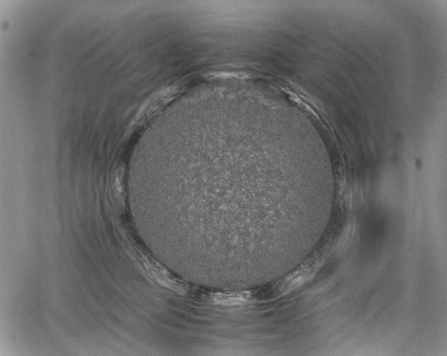 X0000067910373200604171345