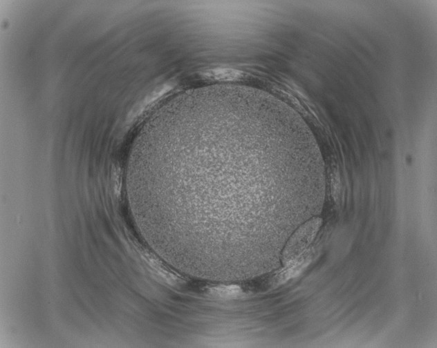 X0000067910374200604171345