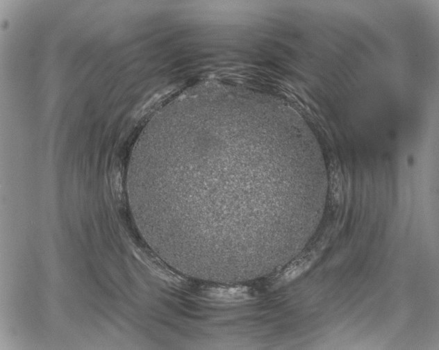 X0000067910375200604171345