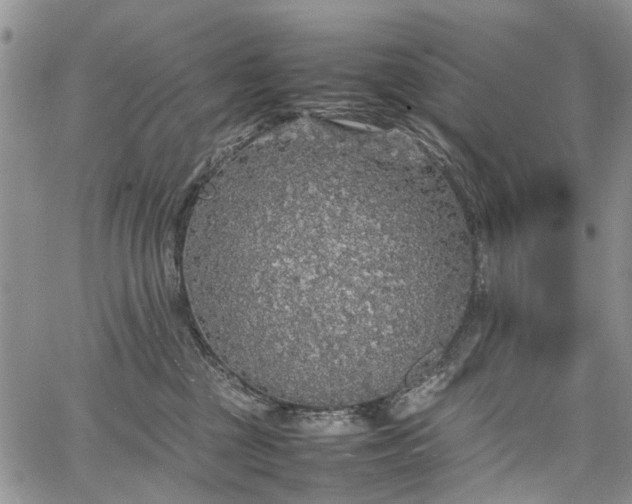 X0000067910377200604171345