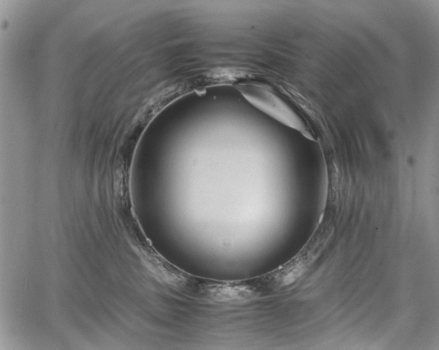 X0000067910379200604171345