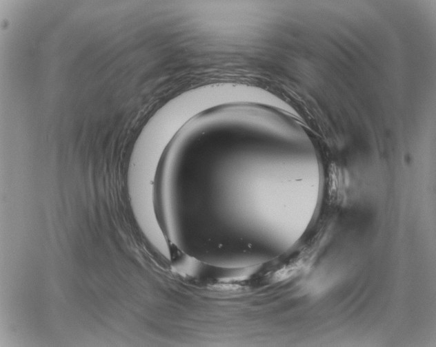 X0000067910380200604171345