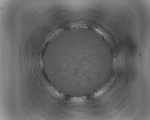 X0000067910381200604171345