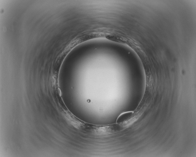 X0000067910382200604171345