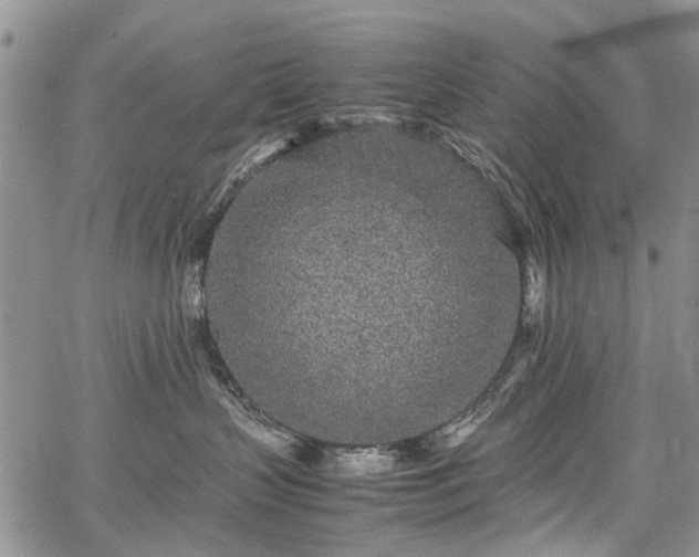 X0000067910383200604171345