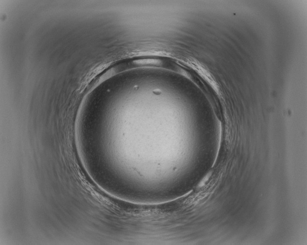 X0000067910385200604171344