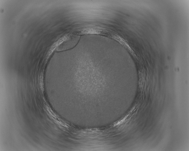 X0000067910386200604171344