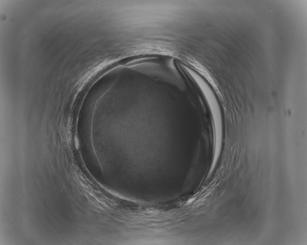 X0000067910387200604171344