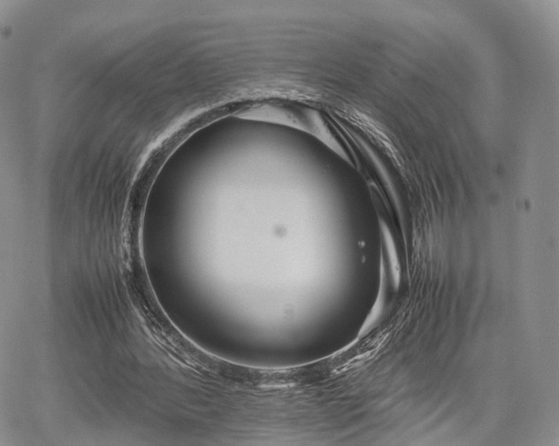 X0000067910388200604171344