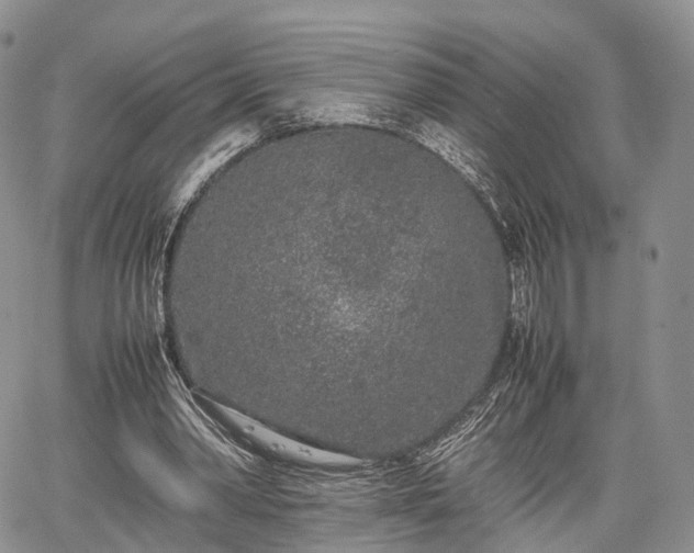 X0000067910390200604171344