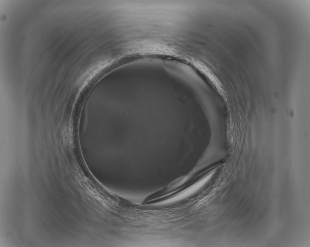 X0000067910391200604171344