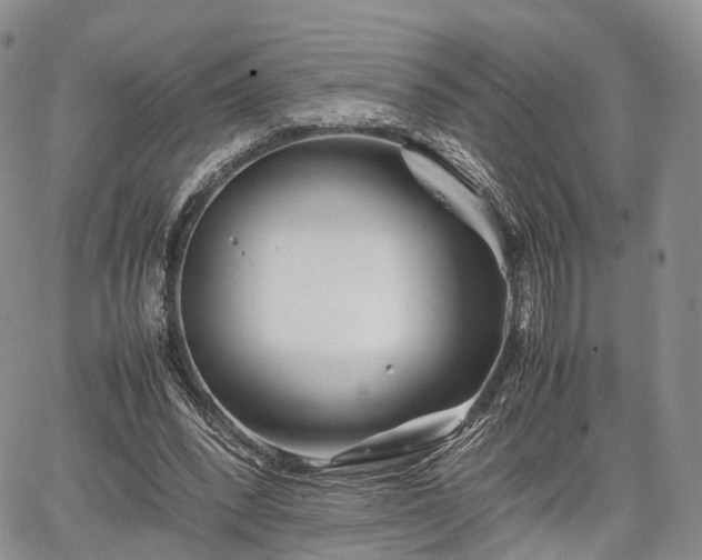 X0000067910392200604171344