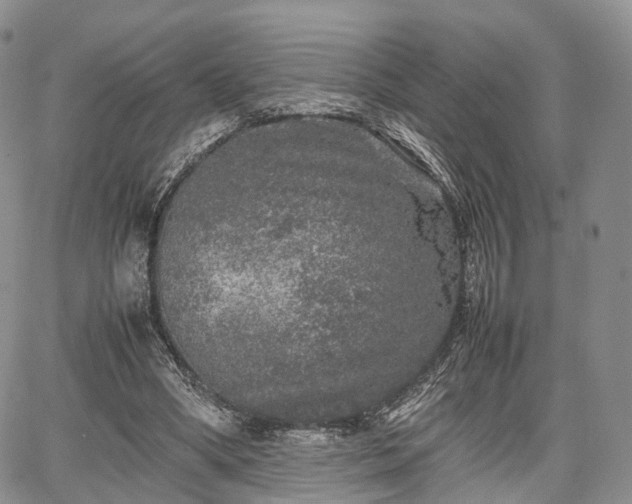 X0000067910394200604171344