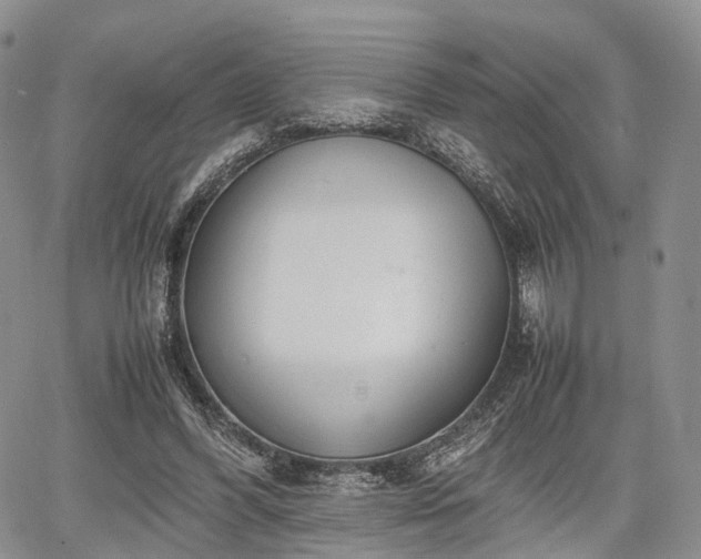 X0000067910396200604171344