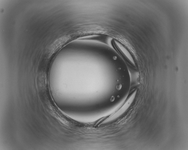 X0000067910397200604171344