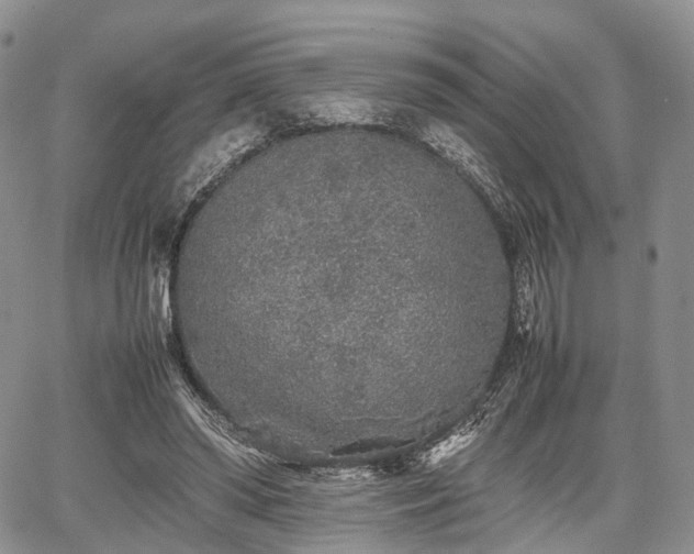 X0000067910398200604171344